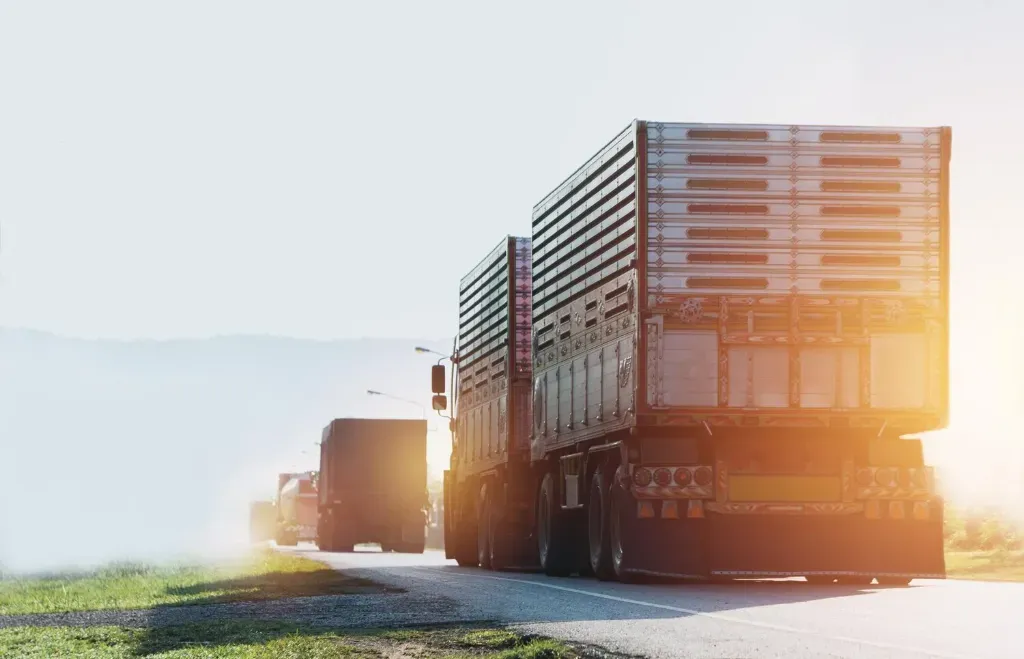 transport drobnicowy